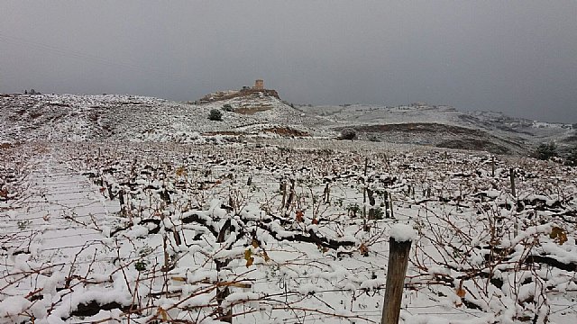 Nevada en Totana - 18 de enero de 2017 - 347