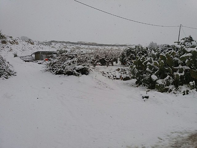 Nevada en Totana - 18 de enero de 2017 - 349