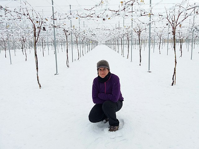 Nevada en Totana - 18 de enero de 2017 - 353