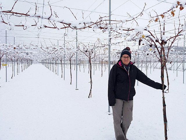 Nevada en Totana - 18 de enero de 2017 - 354