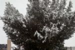 nieve en totana