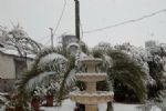 nieve en totana
