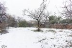 nieve en totana