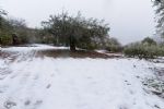 nieve en totana