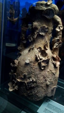 Noche de los museos Cartagena 2015 - 118