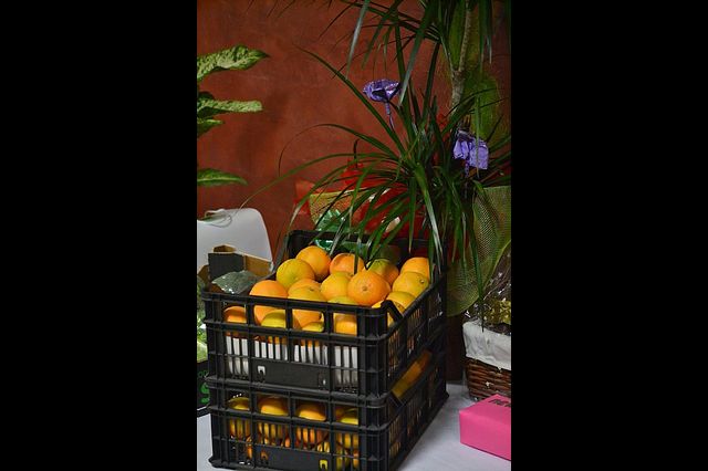 Cena-Gala  Hermandad de Nuestro Padre Jess Nazareno y Santo Sepulcro. 2013 - 19