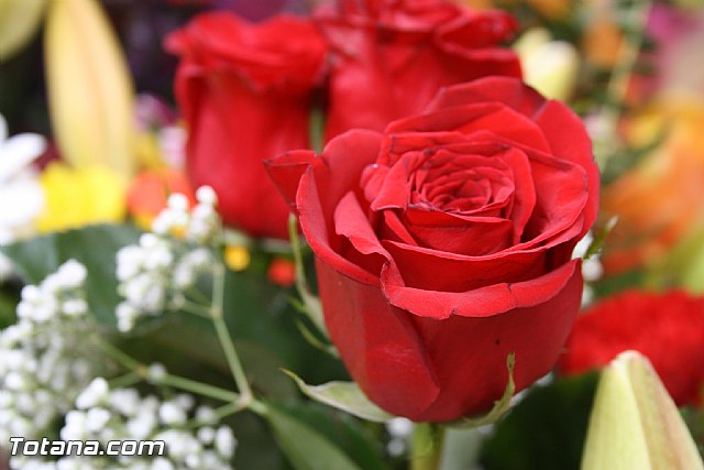 Ofrenda floral a Santa Eulalia 2011 - 576