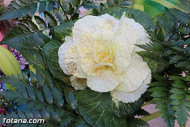Ofrenda floral a Santa Eulalia - Reportaje I - 599
