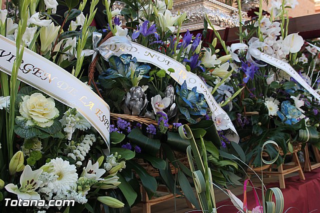 Ofrenda floral a Santa Eulalia - Reportaje II - 528