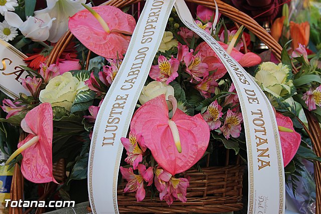 Ofrenda floral a Santa Eulalia - Reportaje II - 535