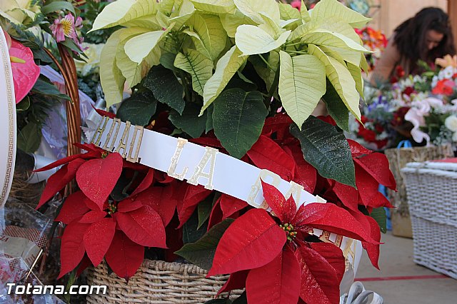 Ofrenda floral a Santa Eulalia - Reportaje II - 537