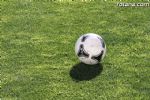Olimpico-Huercal-Overa
