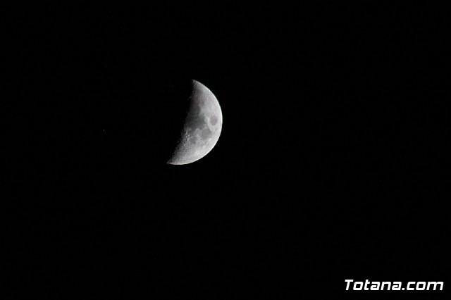 Olmpico de Totana Vs U.D. Los Garres (0-2) - 172