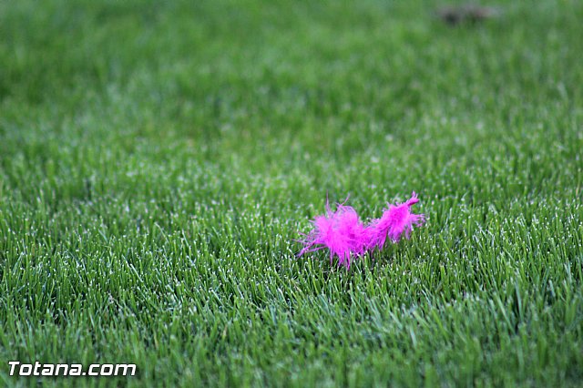 Olmpico de Totana Vs Mazarrn F.C. (2-0) - 100