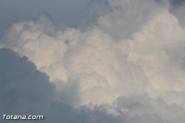 Olmpico de Totana - A.D. Alqueras (5-0) - 16