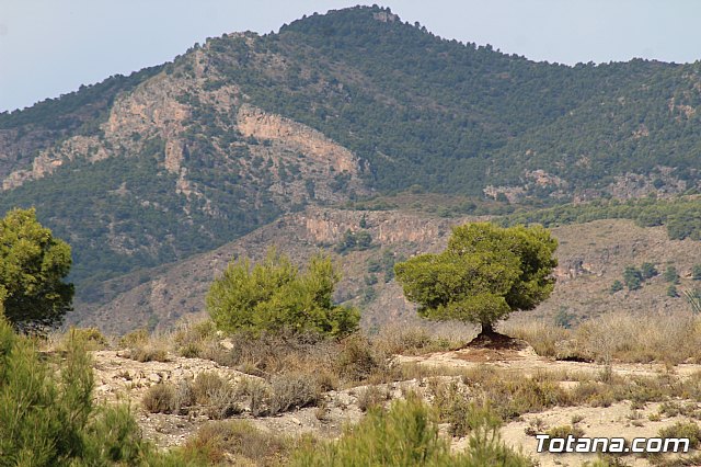 Olmpico de Totana Vs Pulpileo (0-2) - 126