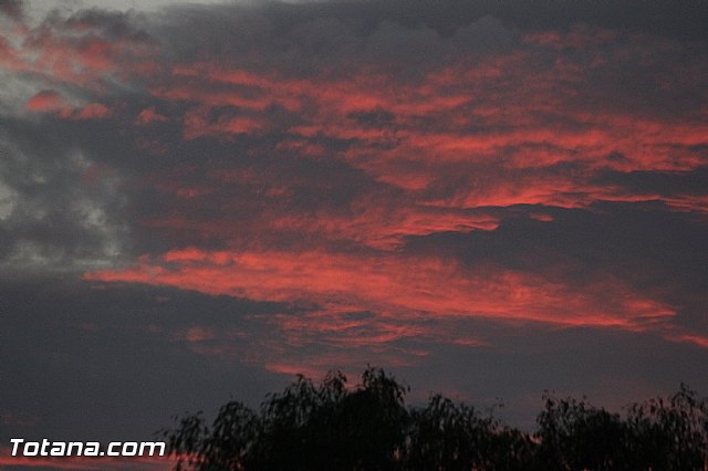 Olmpico de Totana Vs Cartagena FC (2-1) - 196