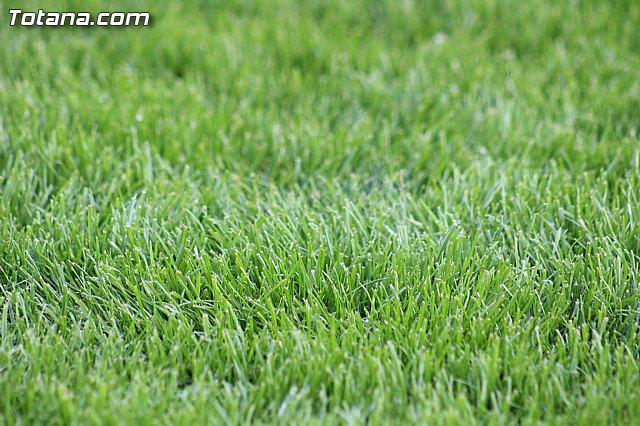 Olmpico de Totana - Mar Menor (0-5) - 87