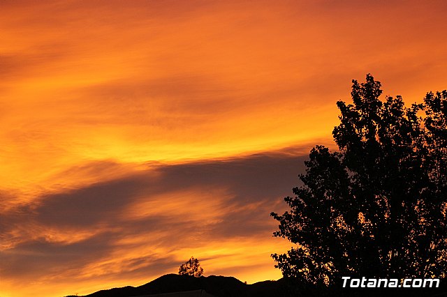 Olmpico de Totana Vs C.F. Lorca Deportiva (2-1) - 164