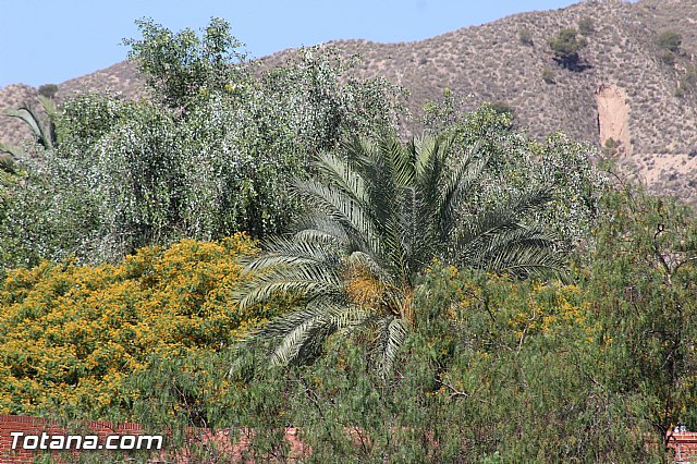 I Torneo Bases Olmpico de Totana (Infantil y Cadete) - 128