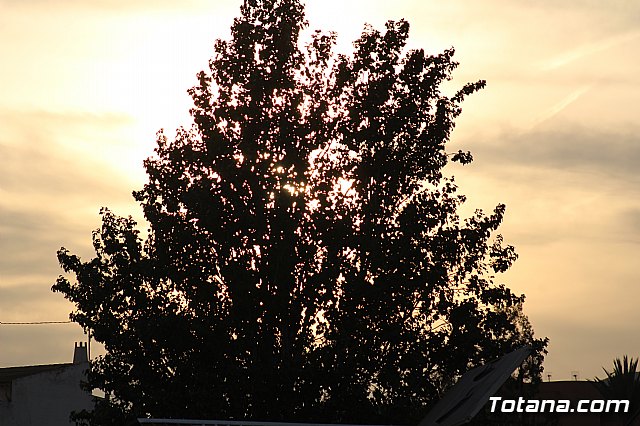 Olmpico de Totana Vs Ciudad de Murcia (3-2) - 115