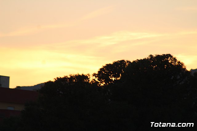 Olmpico de Totana  Vs  Cartagena SAD 