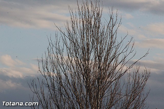 Olmpico Vs C.D. Bullense (1-0) - 141