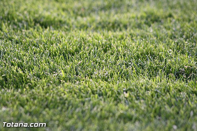 Olmpico Vs Hurcal-Overa (6-0) - Homenaje a Jose Antonio Valverde Reina - 229