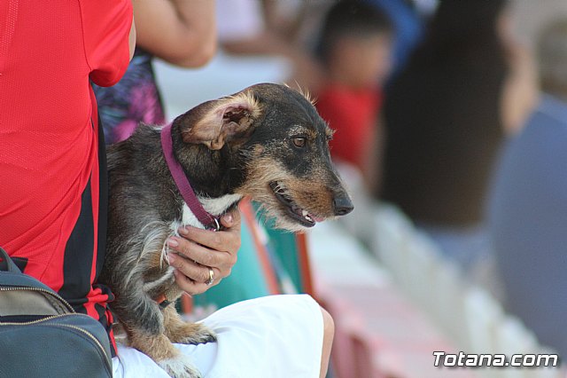 Olmpico de Totana Vs. At. Pulpileo (0-3) - 122
