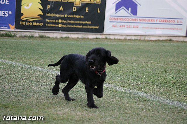 Olmpico de Totana Vs Sporting Club Aguileo (3-2) - 180