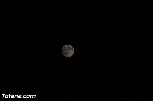 Partidos Olmpico de Totana. Inicio temporada 2016-2017 - 347