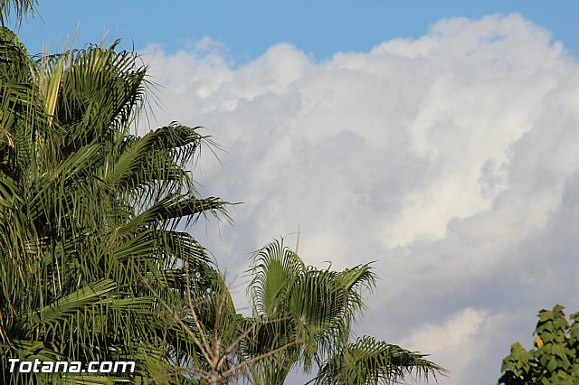 Partidos Olmpico de Totana. Inicio temporada 2016-2017 - 348