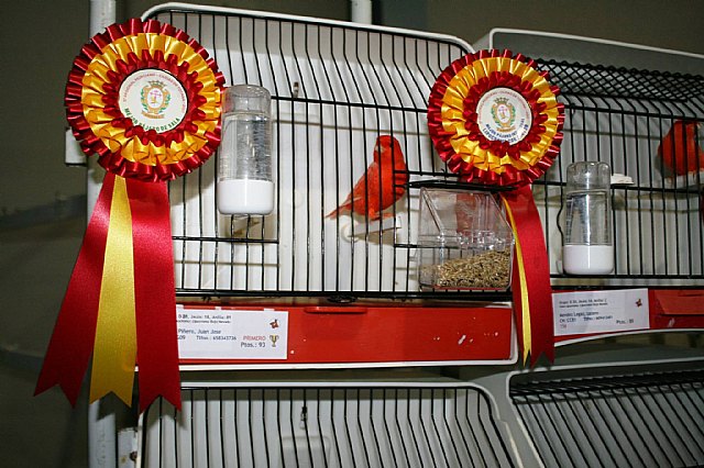  5 Campeonato Ornitolgico Regional Murciano - 2