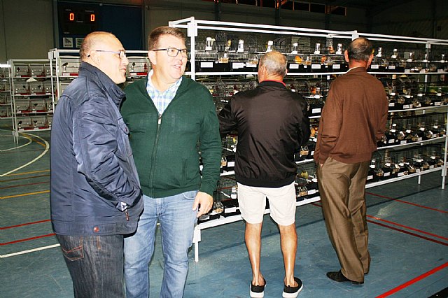  5 Campeonato Ornitolgico Regional Murciano - 4