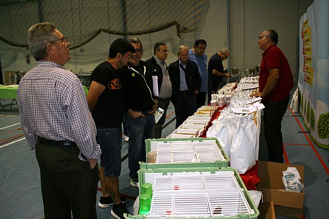  5 Campeonato Ornitolgico Regional Murciano - 6