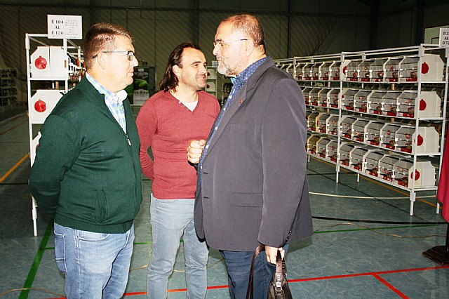  5 Campeonato Ornitolgico Regional Murciano - 7