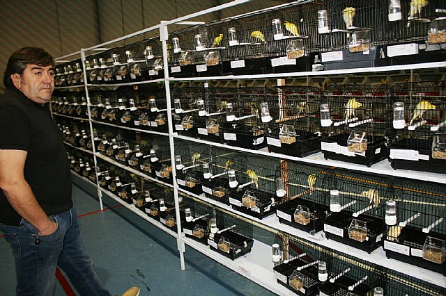  5 Campeonato Ornitolgico Regional Murciano - 9