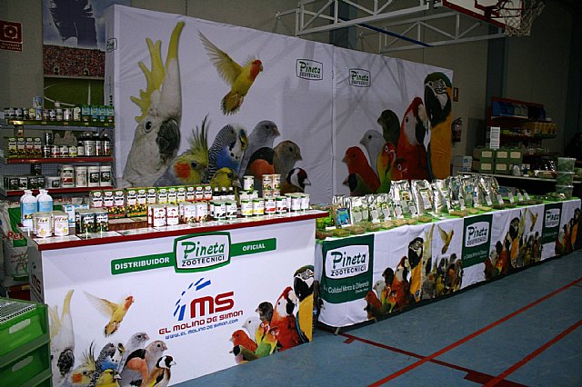  5 Campeonato Ornitolgico Regional Murciano - 13