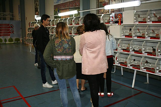  5 Campeonato Ornitolgico Regional Murciano - 16