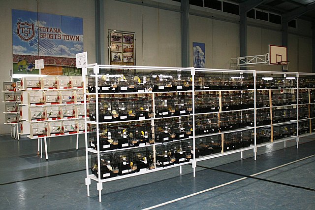  5 Campeonato Ornitolgico Regional Murciano - 17