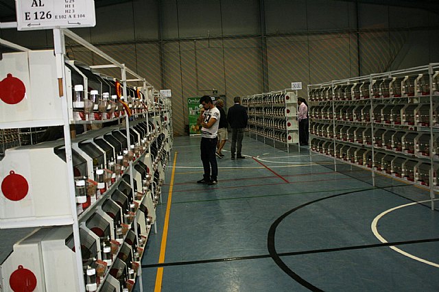  5 Campeonato Ornitolgico Regional Murciano - 18