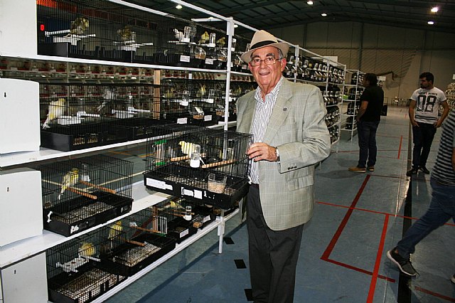  5 Campeonato Ornitolgico Regional Murciano - 19