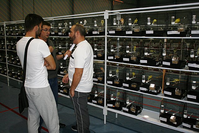  5 Campeonato Ornitolgico Regional Murciano - 22