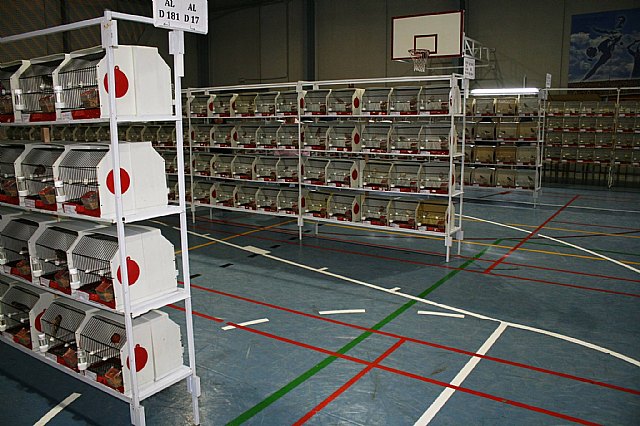  5 Campeonato Ornitolgico Regional Murciano - 29