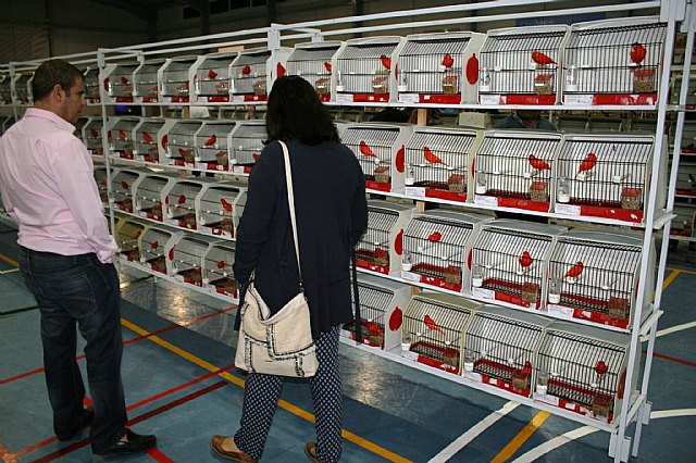  5 Campeonato Ornitolgico Regional Murciano - 34