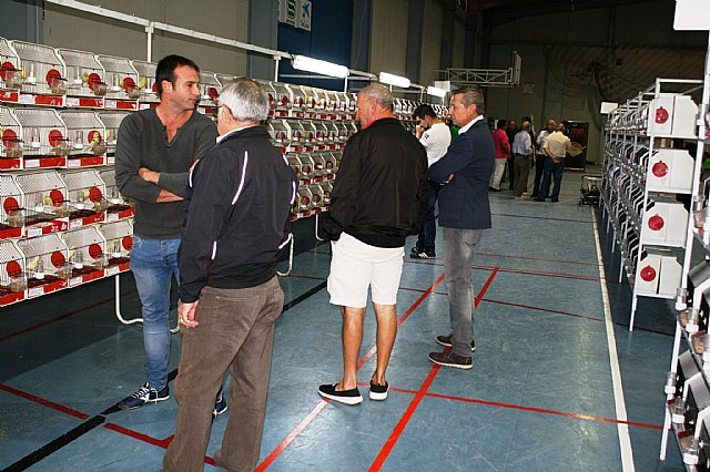  5 Campeonato Ornitolgico Regional Murciano - 36