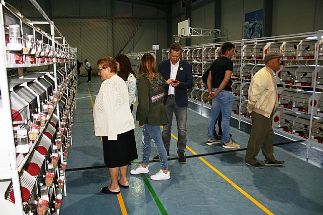  5 Campeonato Ornitolgico Regional Murciano - 39