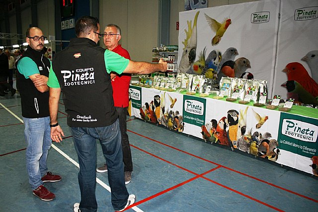  5 Campeonato Ornitolgico Regional Murciano - 43