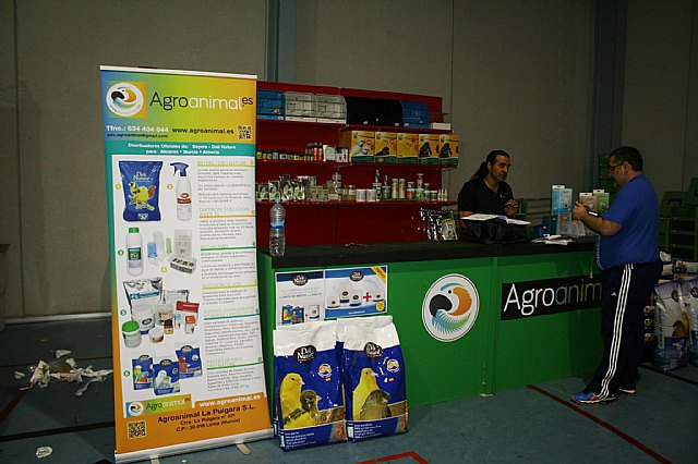  5 Campeonato Ornitolgico Regional Murciano - 47