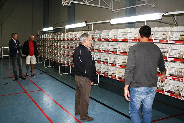  5 Campeonato Ornitolgico Regional Murciano - 57